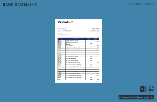 Guinea Access Kontoauszug Excel-Beispielvorschau